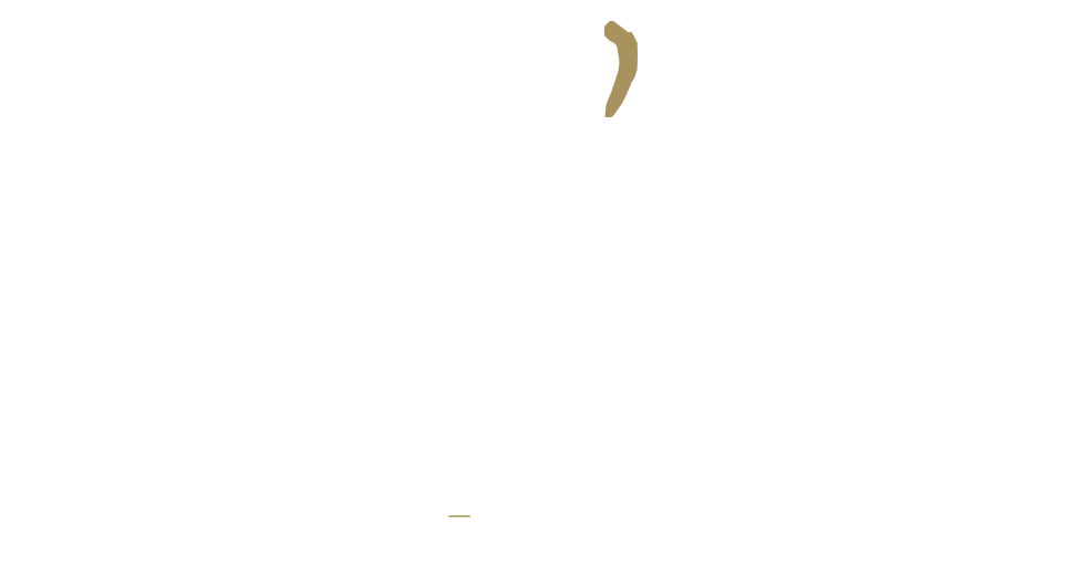 logo-ptiluis logo pti'luis
