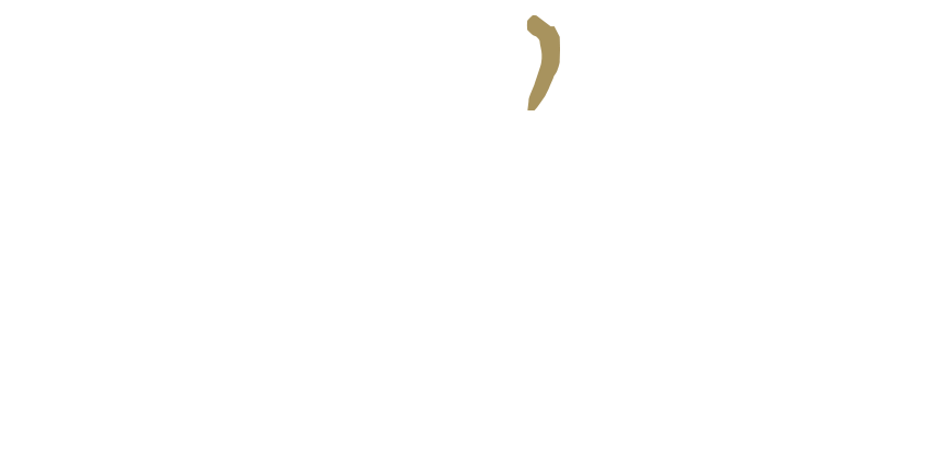logo-ptiluis2